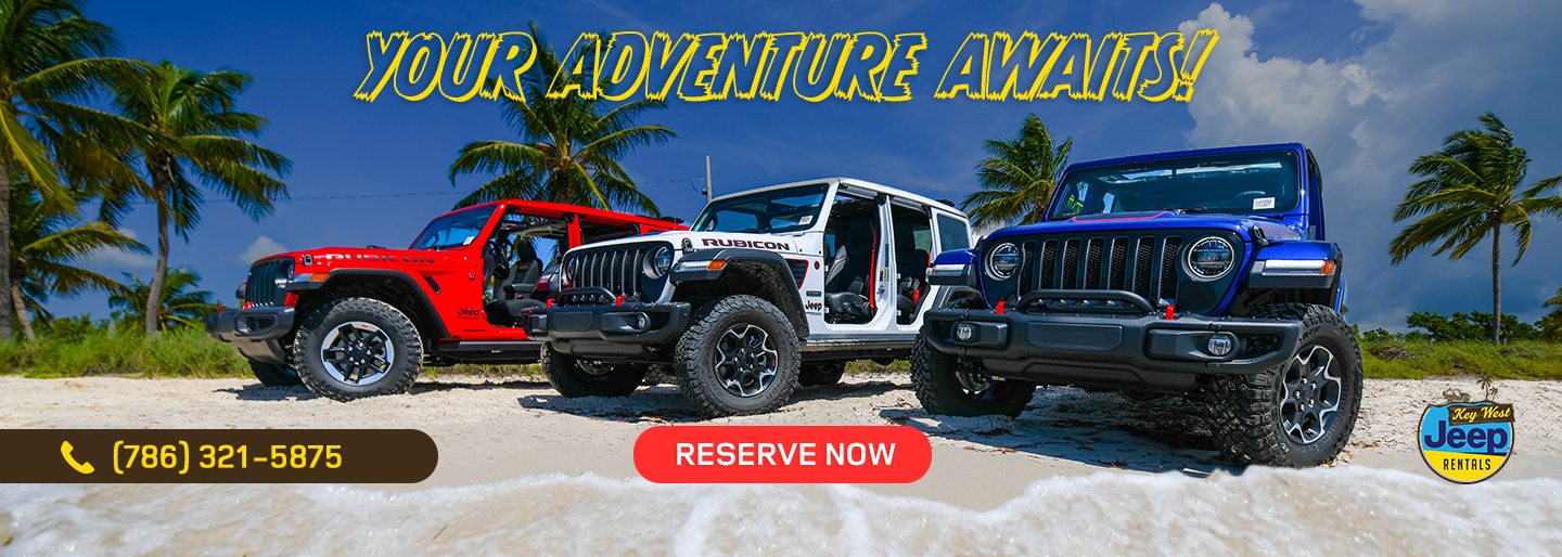 Jeep Rentals in Key West | Warren Henry Auto Group